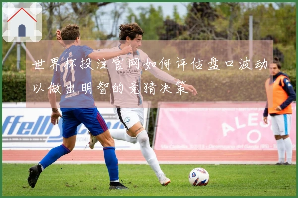 世界杯投注官网如何评估盘口波动以做出明智的竞猜决策