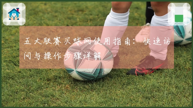 五大联赛买球网使用指南：快速访问与操作步骤详解