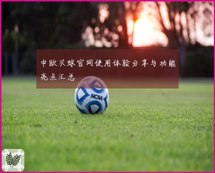 中欧买球官网使用体验分享与功能亮点汇总