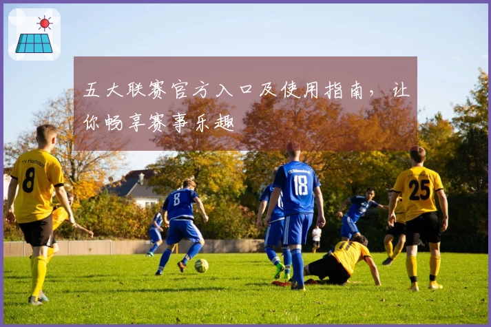 五大联赛官方入口及使用指南，让你畅享赛事乐趣