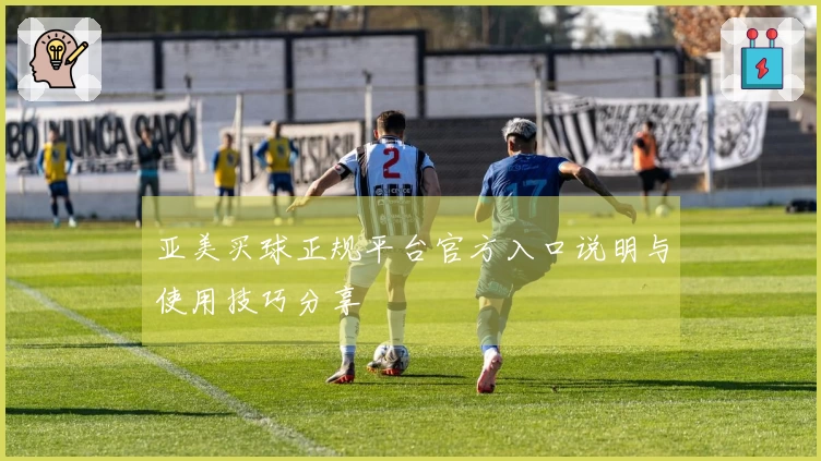 亚美买球正规平台官方入口说明与使用技巧分享