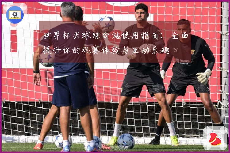 世界杯买球综合站使用指南：全面提升你的观赛体验与互动乐趣