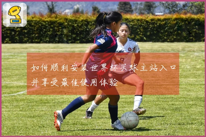 如何顺利安装世界杯买球主站入口并享受最佳使用体验