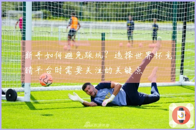 新手如何避免踩坑？选择世界杯竞猜平台时需要关注的关键点