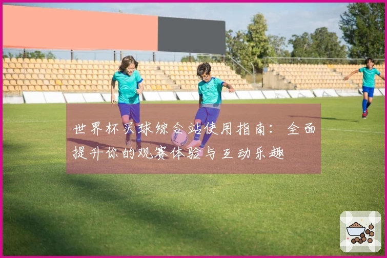 世界杯买球综合站使用指南：全面提升你的观赛体验与互动乐趣