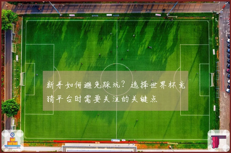 新手如何避免踩坑?选择世界杯竞猜平台时需要关注的关键点