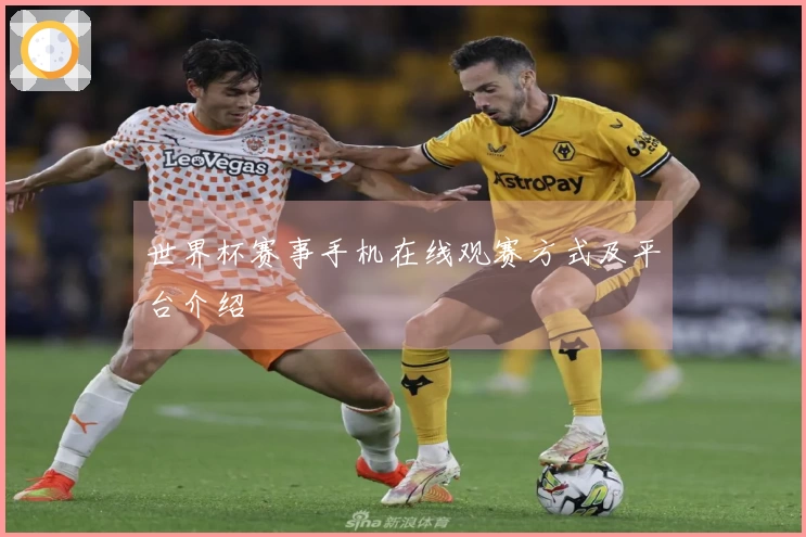 世界杯赛事手机在线观赛方式及平台介绍